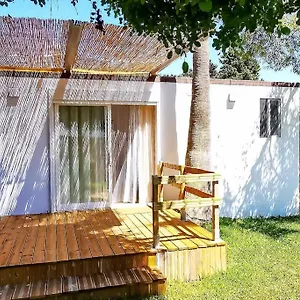 Mery Oliva Apartamento